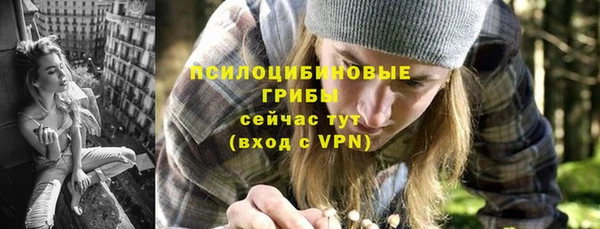 ПСИЛОЦИБИНОВЫЕ ГРИБЫ Богородицк