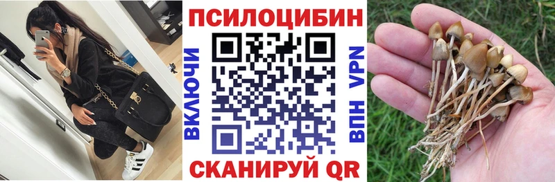 блэк спрут ссылка  Петропавловск-Камчатский  Галлюциногенные грибы MAGIC MUSHROOMS 